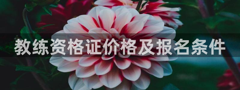 龙8国际官网app下载旧
