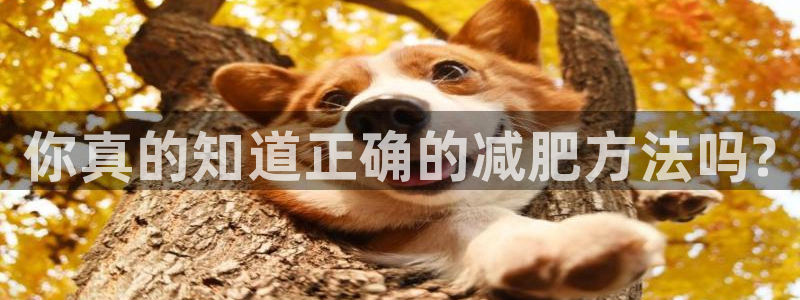 龙8国际游戏官方进入的介绍