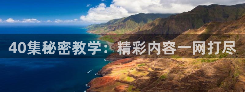 龙8国际版
