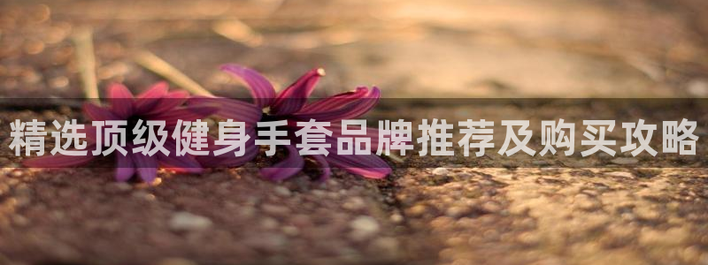 龙8国际app下载