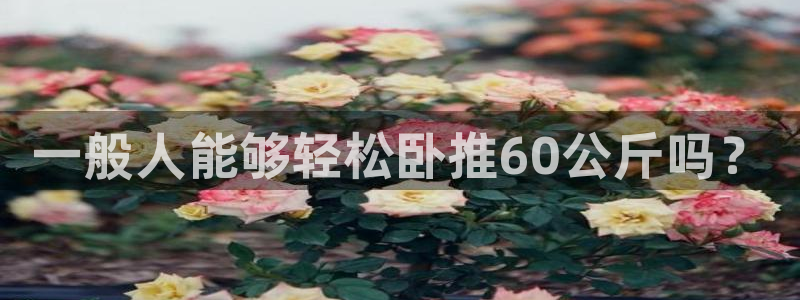 下载龙8国际