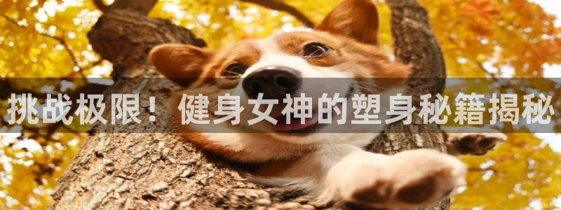 龙8国际平台官网