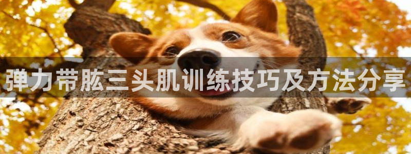 龙8国际app 下载