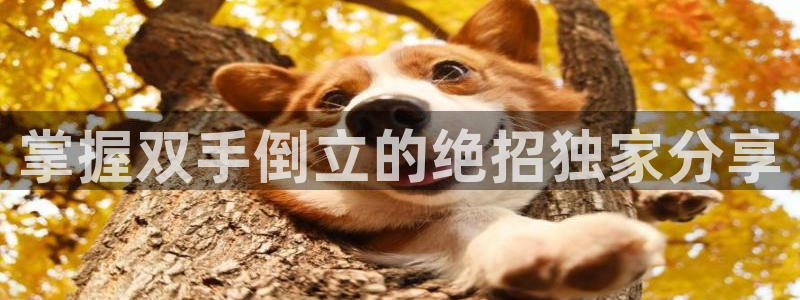 龙8国际官网唯一入口
