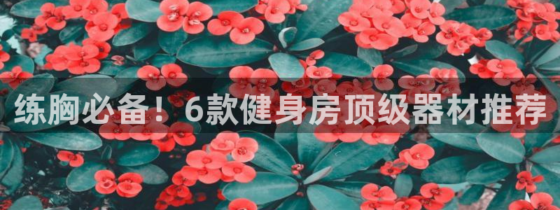 龙8国际害死多少人