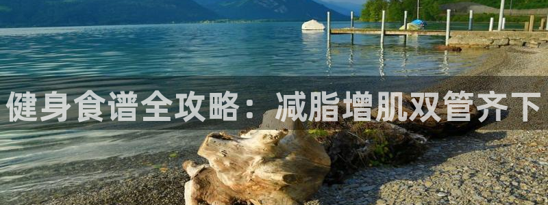 龙8国际官网官方版fxzls天地手游 -kc -安卓