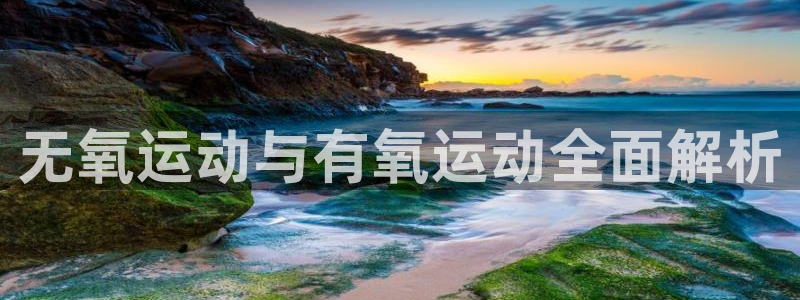 龙8国际下载