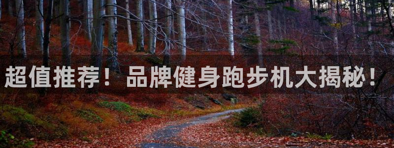 龙八国际手机客户端