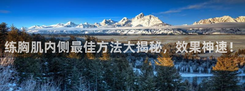 龙八国际服官网站