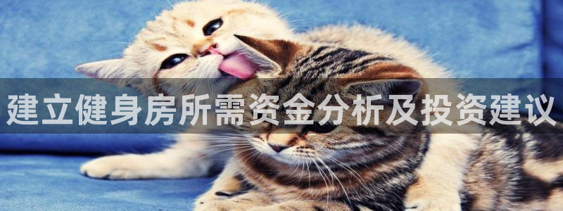 龙8国际官网版玩法