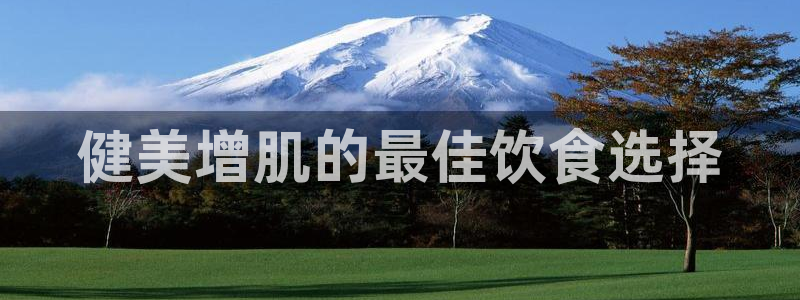 龙8国际免费试玩