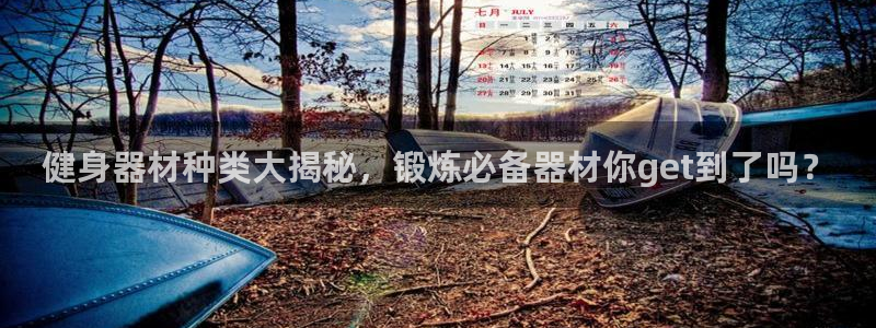 龙8官网手机登入口
