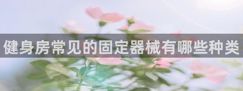 龙8国际游戏娱乐