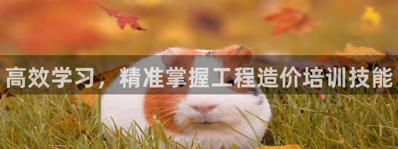 龙8国际玩家