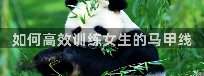 龙8国际app客户端下载