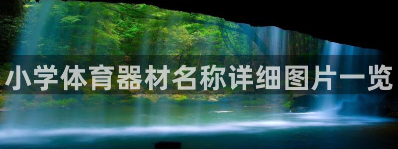 龙8手机游戏官网