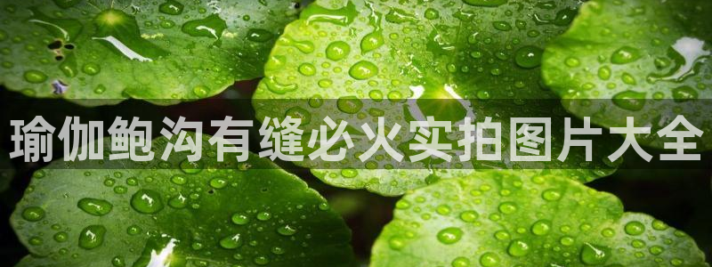 龙8国际电子平台