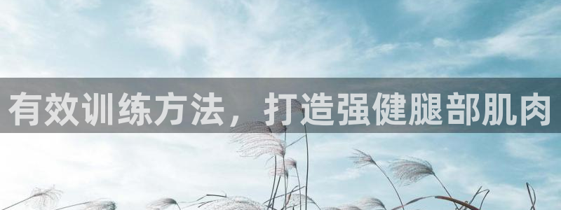 龙8国际官网版