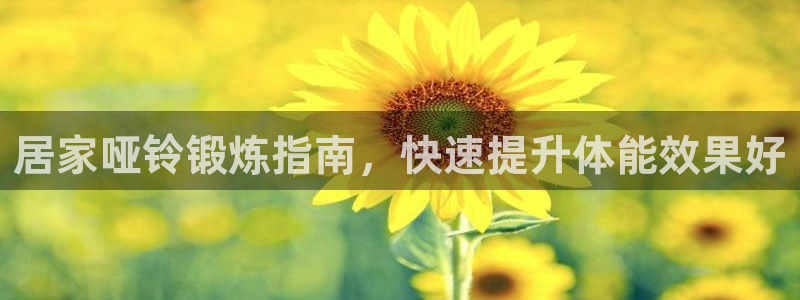 龙8老虎机网络游戏