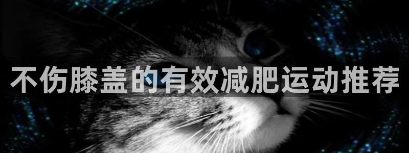 龙8老虎机网络游戏