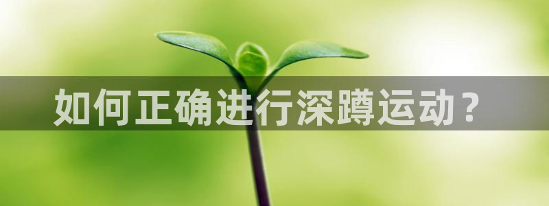 龙8国际官方网站手机版