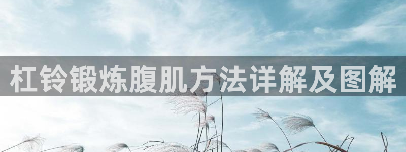 龙8国际最新官网