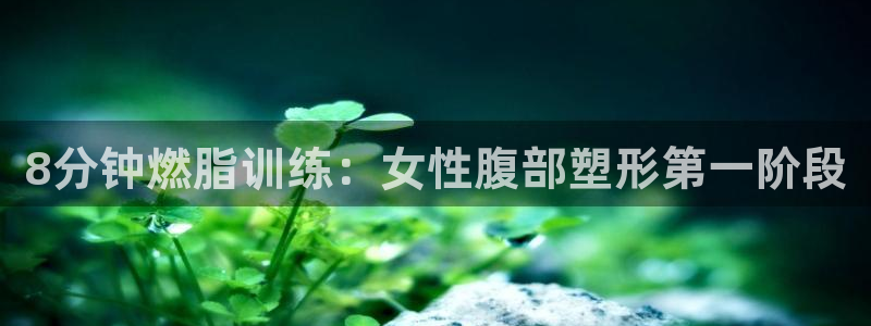 龙8国际com
