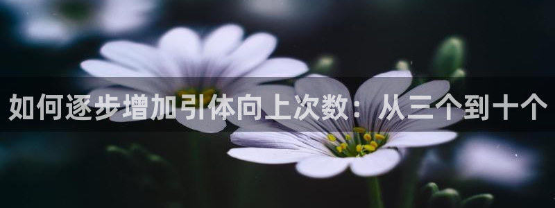 龙8国际手机官网下载
