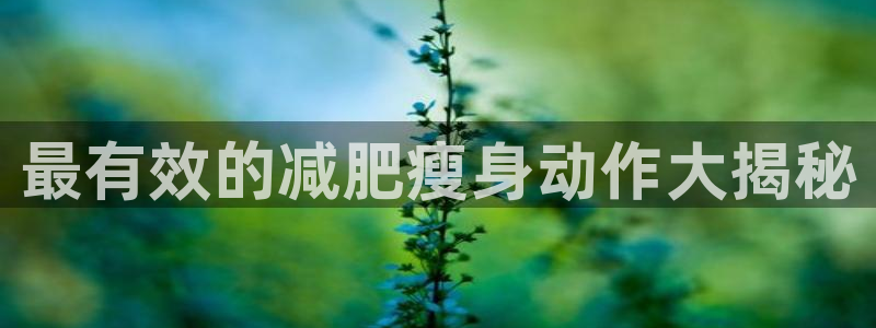 龙8国际开户