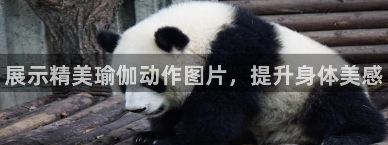 龙8国际官网版手机版