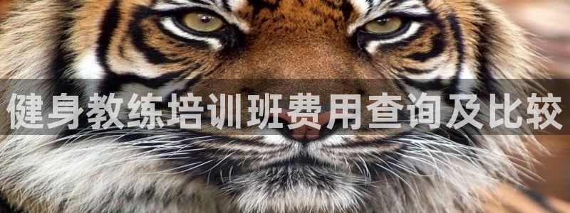 龙8国际app 下载