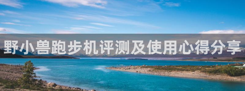 龙八国际手机客户端