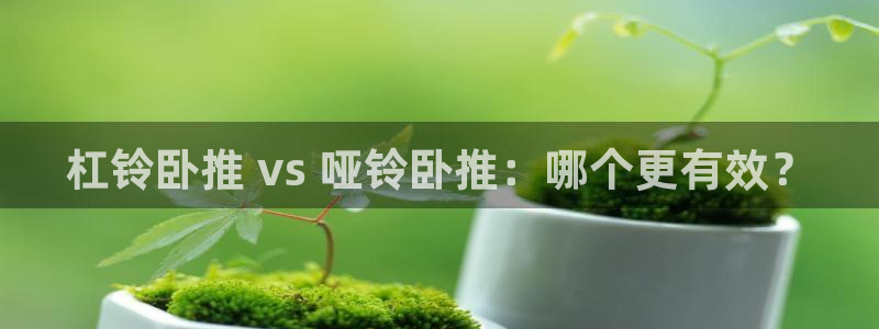 龙8游戏官方进入