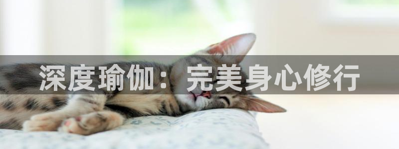 龙8国际登入