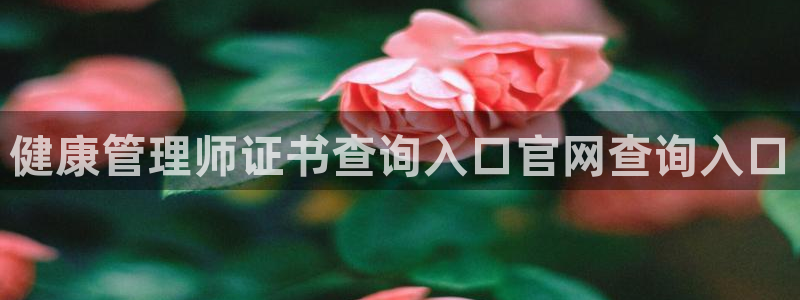 龙8国际网址