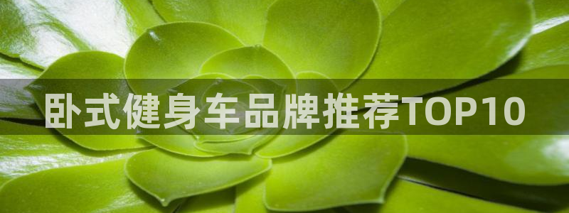 龙8国际手机游戏官网下载