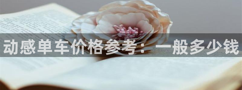 国际龙8官网pt客户端