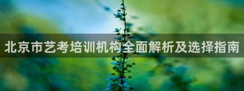 龙8国际2023官方版fxzls安卓-1.2.9 -安卓
