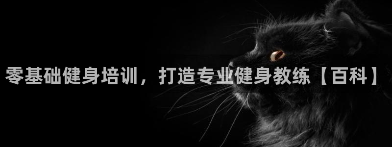 龙8国际棋牌