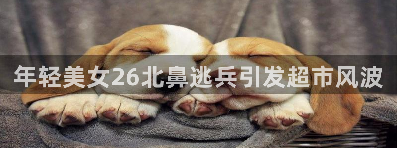 龙8国际官网下载地址
