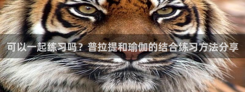 龙8娱乐国际城