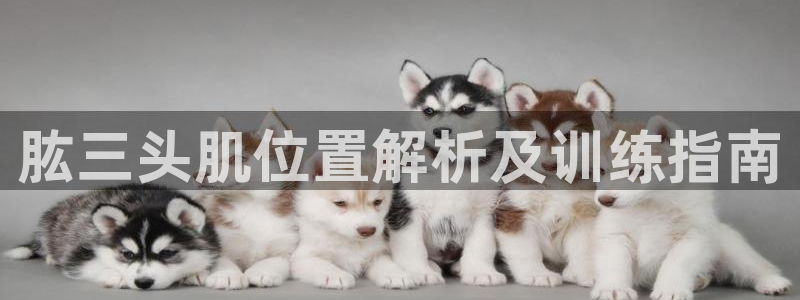 龙8国际long88(中国)官方网站