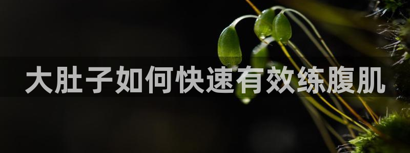 龙8国际官方网