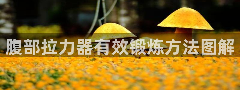 龙8国际官方网站手机版