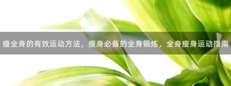 龙8国际官方网站手机版下载