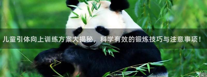 龙8国际唯一