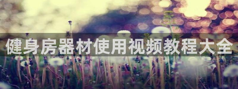 龙8国际线上