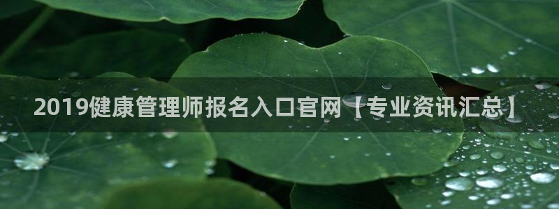 国际龙8官网pt客户端