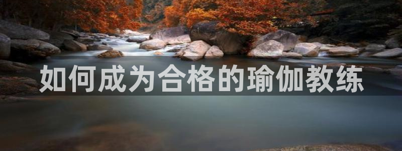 龙8国际手机版官网