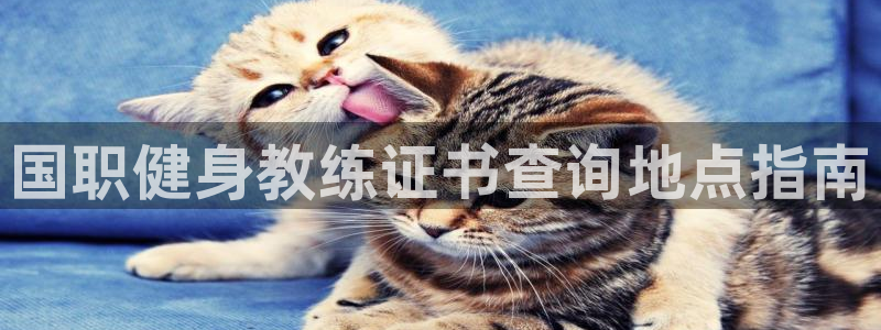 龙8国际龙8官方